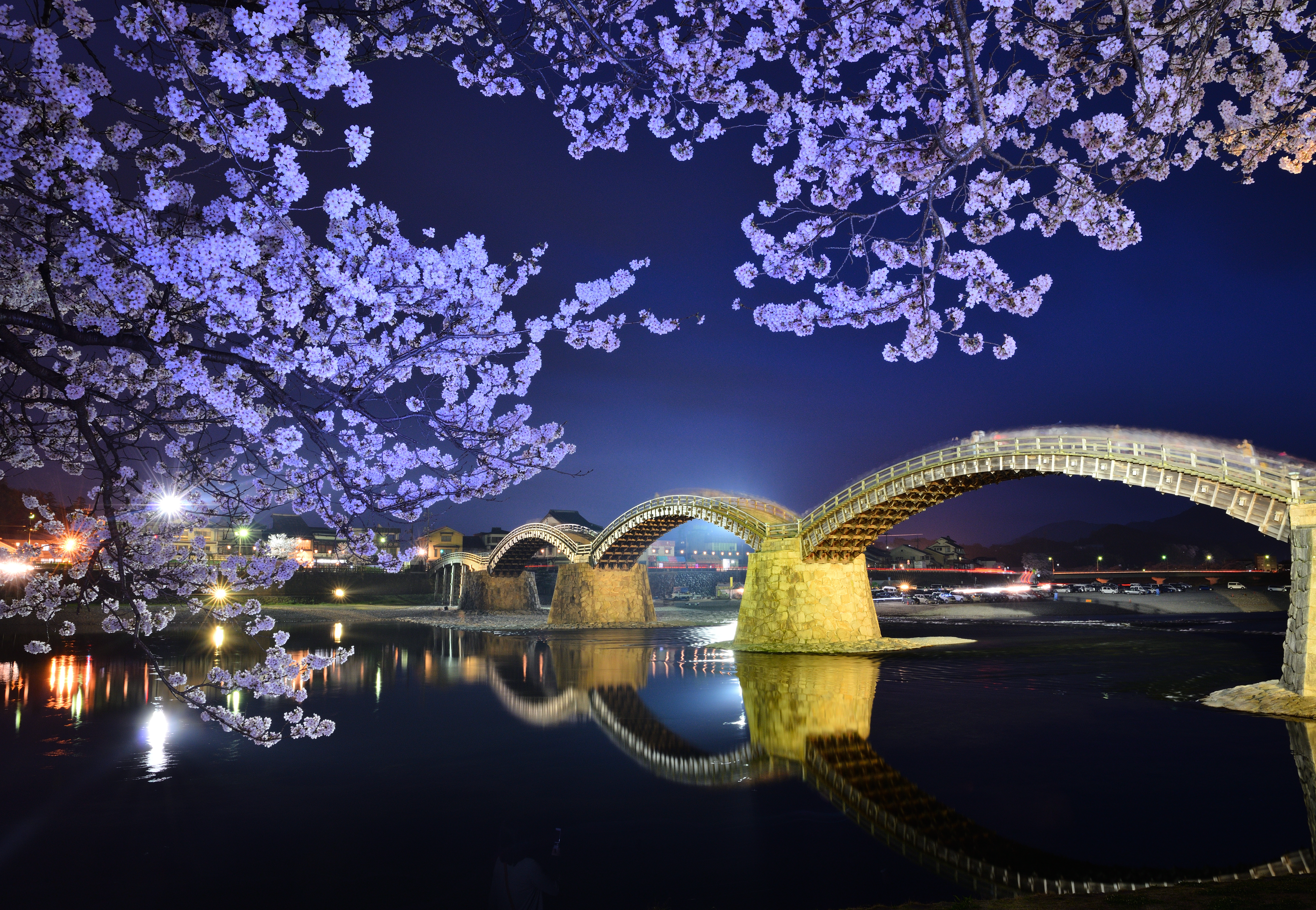 ライトアップされた夜の錦帯橋