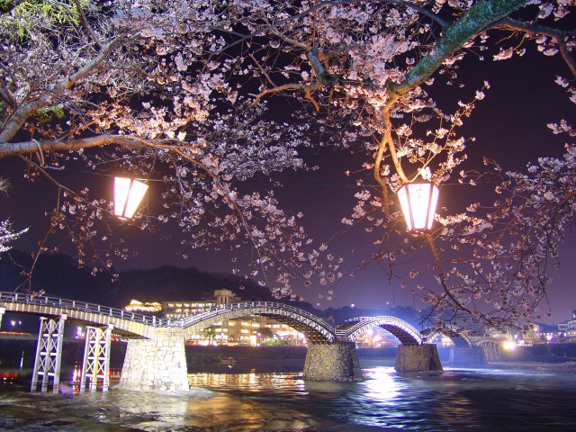 錦帯橋　夜桜