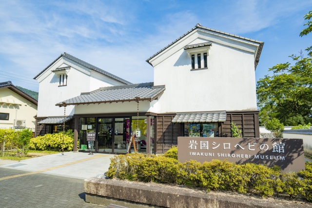 シロヘビの館