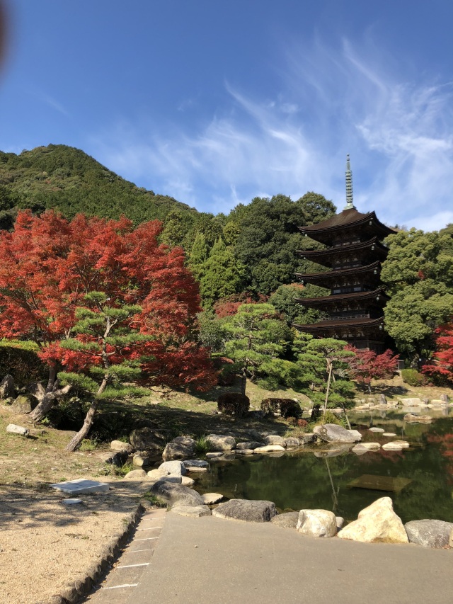 瑠璃光寺五重塔　紅葉