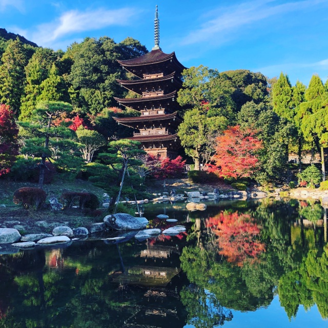 瑠璃光寺五重塔　紅葉