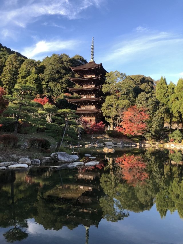 瑠璃光寺五重塔　紅葉