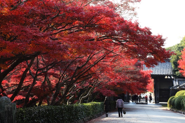 旧毛利家本邸・毛利博物館・毛利氏庭園