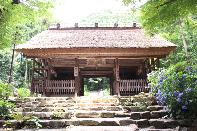 東大寺別院阿弥陀寺