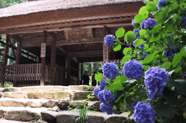 東大寺別院阿弥陀寺