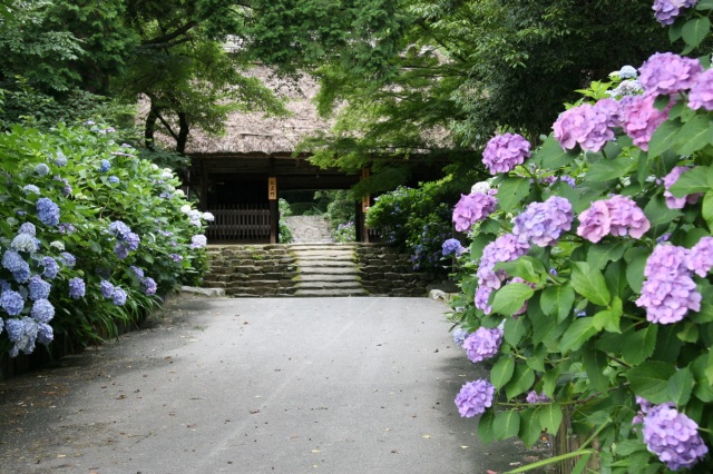 東大寺別院阿弥陀寺