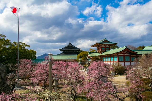 防府天満宮　梅