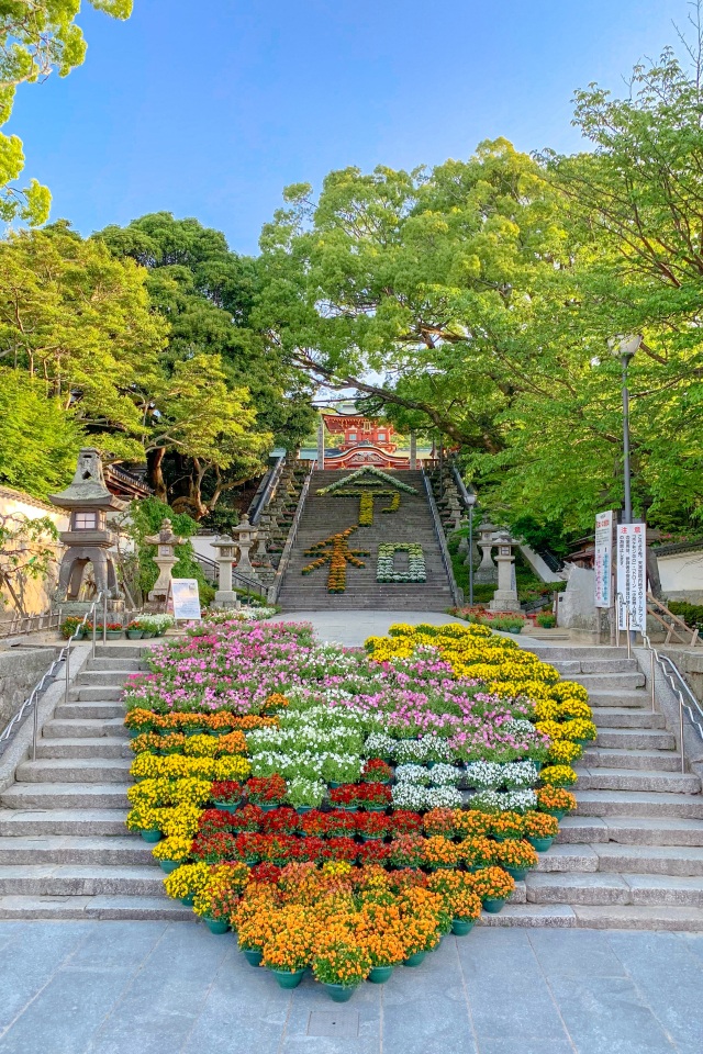 防府天満宮　花回廊