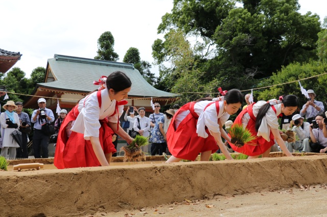 防府天満宮　御田植祭