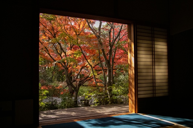 芳松庵　紅葉