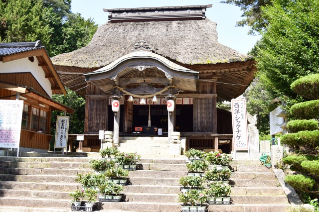 宇佐八幡宮