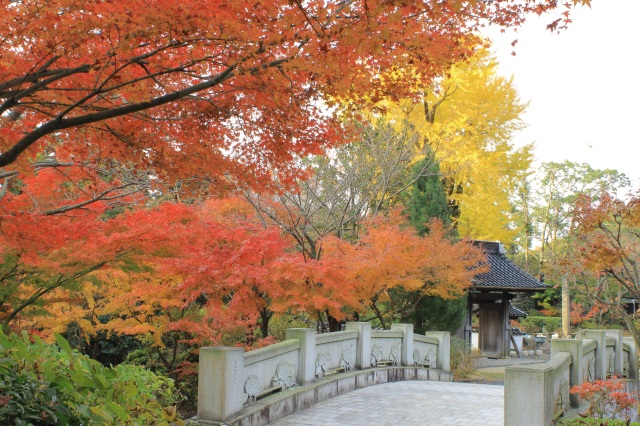 東大寺別院阿弥陀寺　紅葉