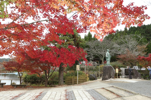 東行庵　紅葉