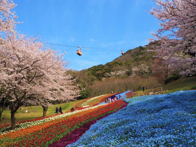 火の山公園