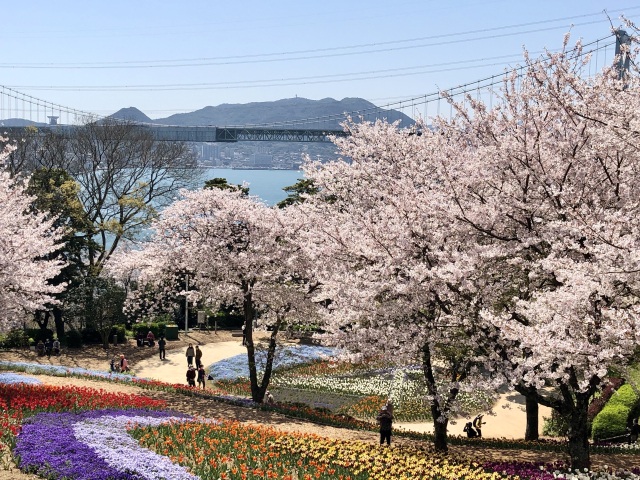 火の山公園