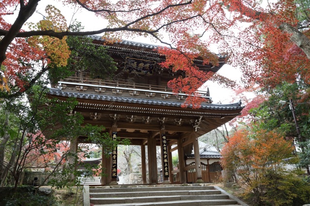 功山寺　紅葉