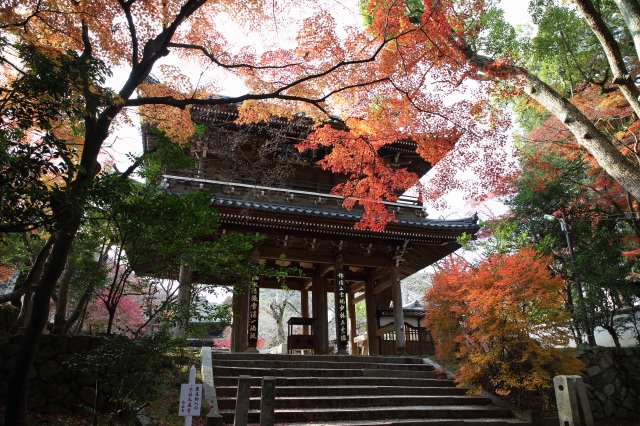 功山寺　紅葉