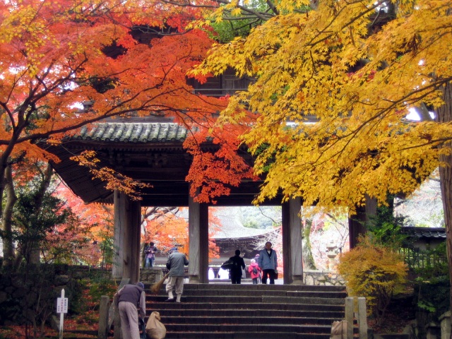 功山寺　紅葉