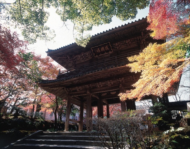 功山寺　紅葉