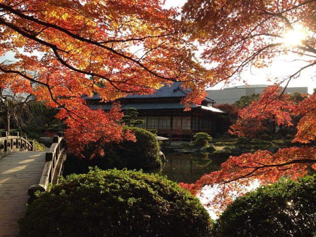 長府庭園　紅葉