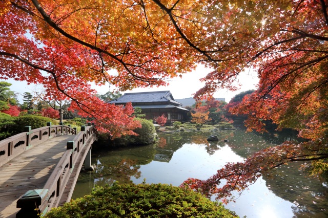 長府庭園　紅葉