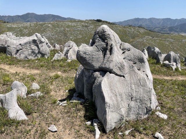 秋吉台　スヌーピー岩