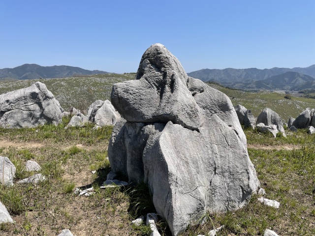 秋吉台　スヌーピー岩