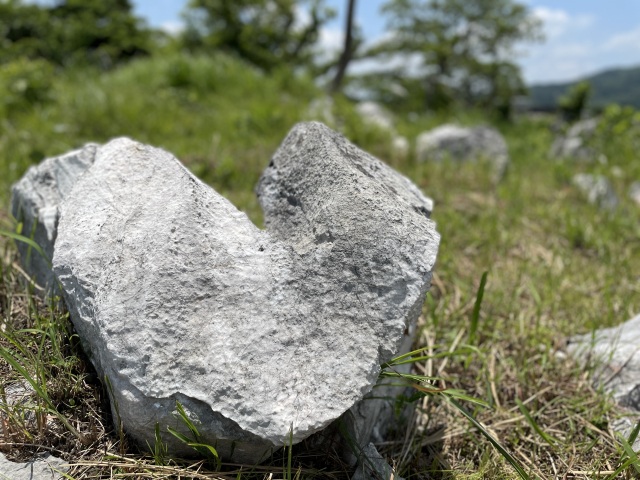 秋吉台　ハート岩