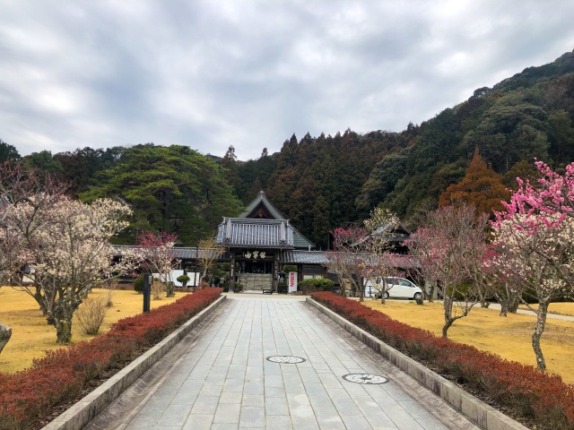 瑠璃光寺　