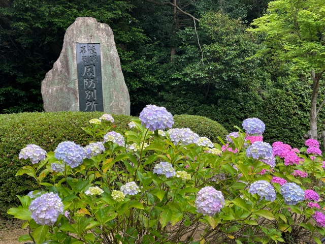 東大寺別院阿弥陀寺　（あじさい寺）