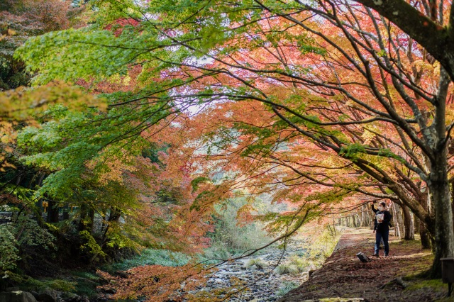 大寧寺　秋