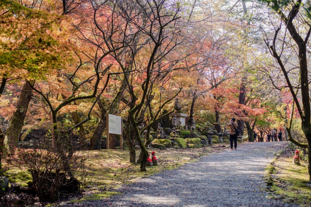 大寧寺　秋