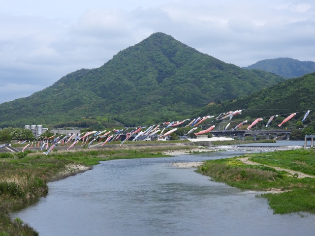 佐波川こいわたし