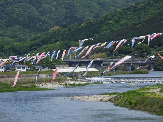 佐波川こいわたし