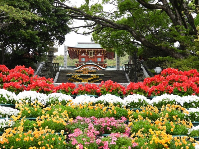 防府天満宮　花回廊