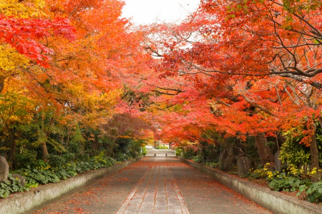 龍福寺