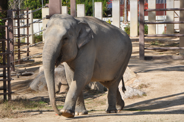周南市徳山動物園