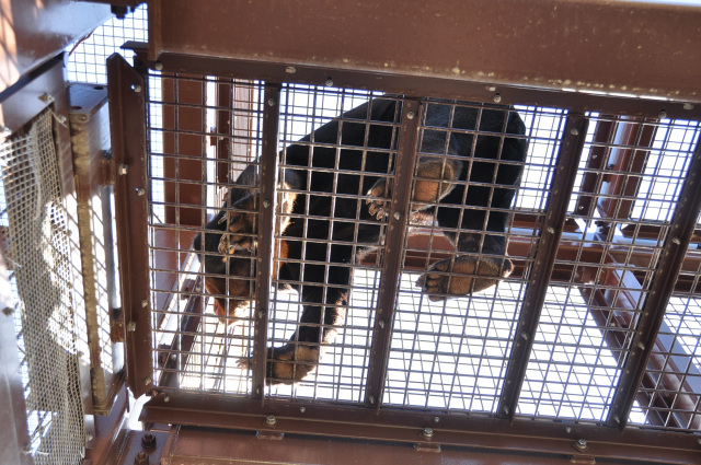 周南市徳山動物園