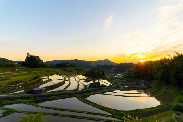 中須の棚田