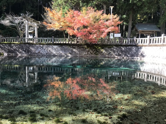 別府弁天池