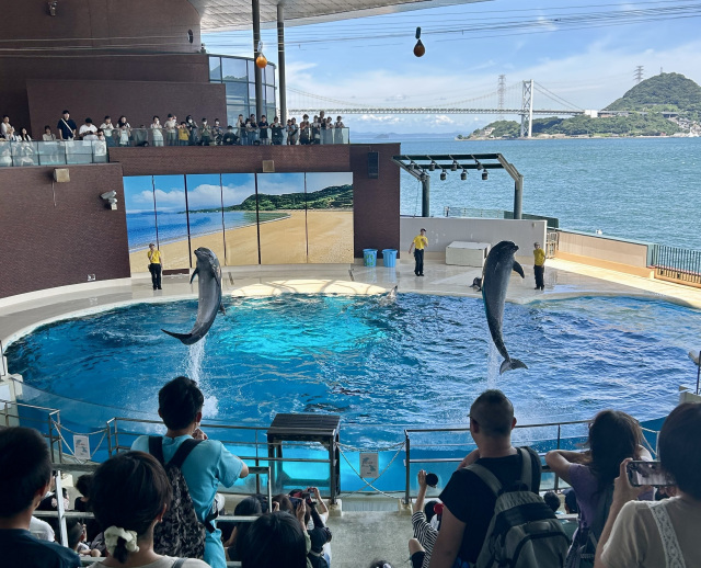 海響館イルカショー