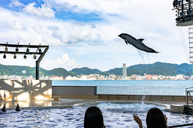 海響館イルカショー