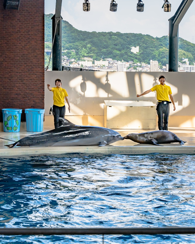 海響館 ショー