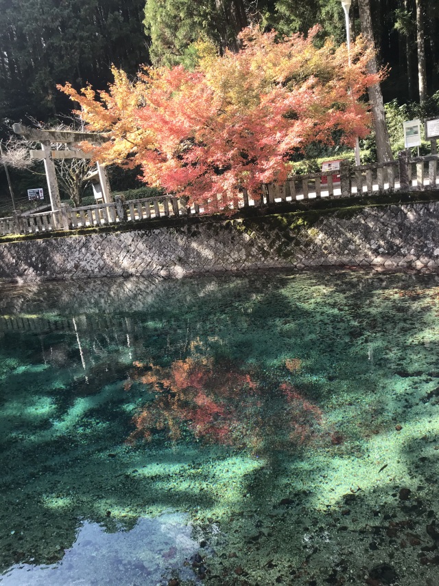 別府弁天池