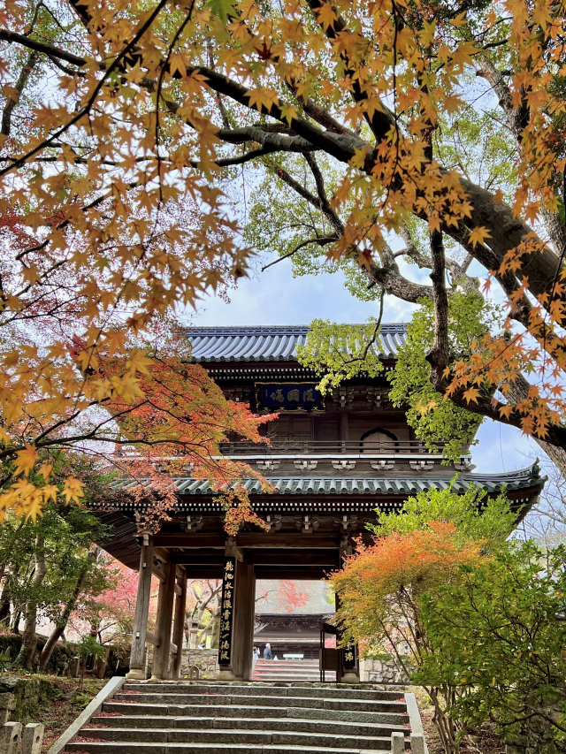 功山寺 紅葉