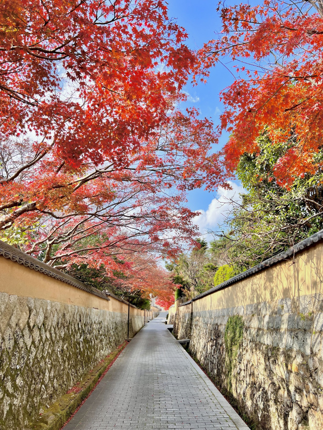 城下町長府