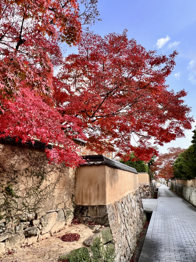城下町長府
