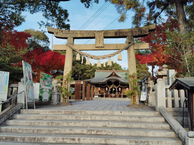 琴崎八幡宮 お正月