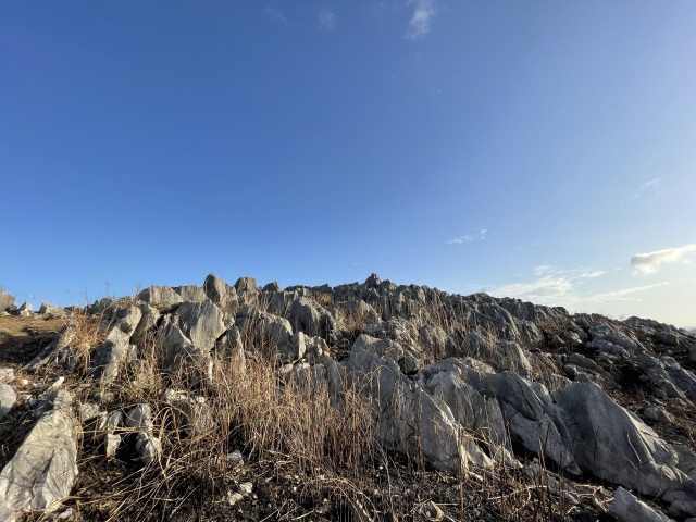 山焼き直後の秋吉台