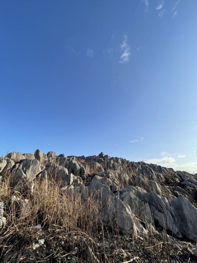 山焼き直後の秋吉台